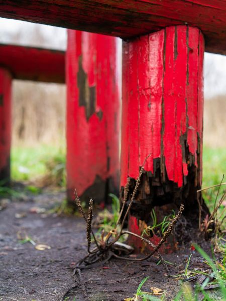 Rotten Column Replacement in Newark